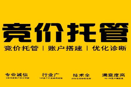 某电商平台信息流竞价策略及成效分析